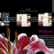 Carlton_De_Brug_Prezi_laten_makenkopie