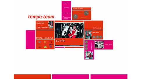 Tempo Team Prezi template laten maken door ShareAll